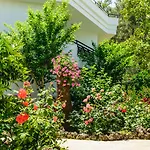 Naturella 4* Kemer