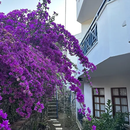 Naturella 4*