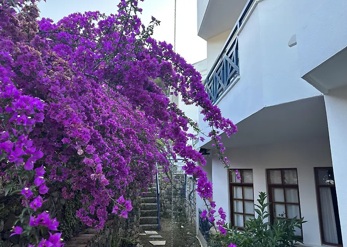 Naturella 4*