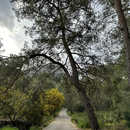 Naturella 2* Kemer