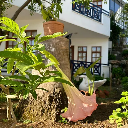 Naturella 2*