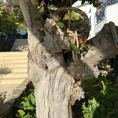 Naturella Aparthotel 4*