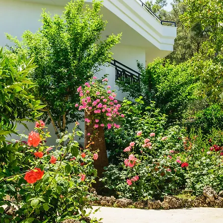 Naturella 4* Κεμέρ